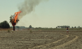 Klasse Narrativer Film