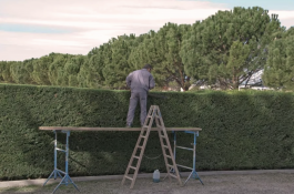 Klasse Narrativer Film