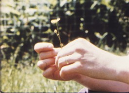 Klasse Narrativer Film